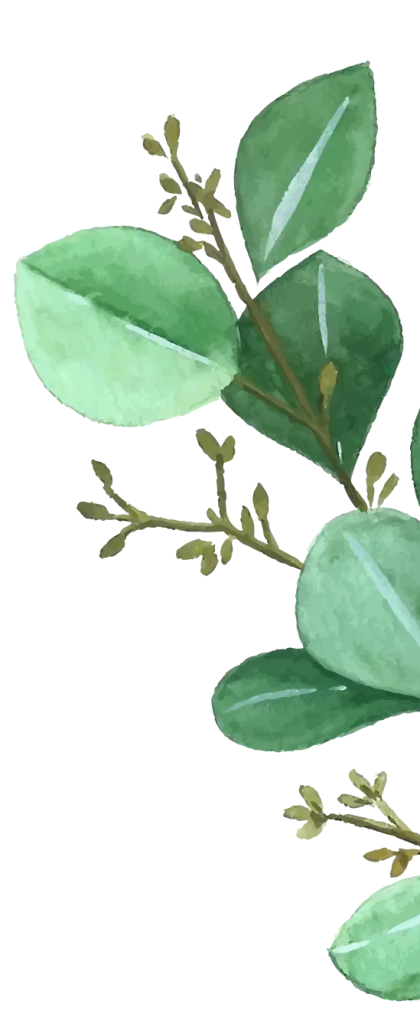 eucalyptus-leaves-